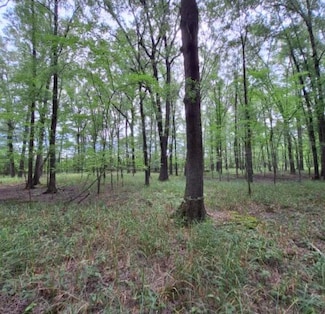 00 Greenwood Dr, Searcy, AR 72143