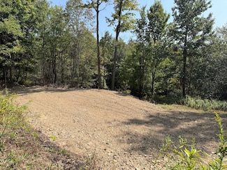 0 Alma Hill Rd Unit LotWP001 24749380, Alma, NY 14895