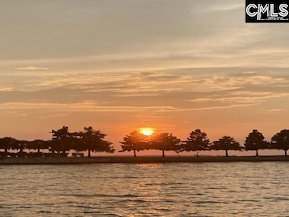 9 High Hill Rd, Lexington, SC 29072