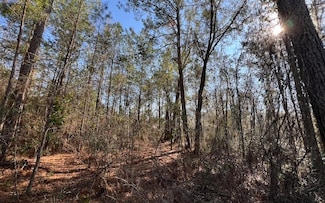 748 NW Country Lake Dr, Lake City, FL 32055