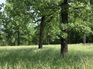 4144 Maxwell Rd, Antioch, TN 37013