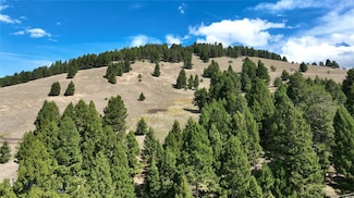 TBD Scranton Lode Lot 5 Ms 3667 Rd, Philipsburg, MT 59858