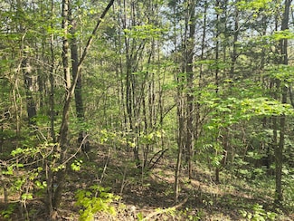 0 Bales Rd Unit 707273, Knoxville, TN 37914