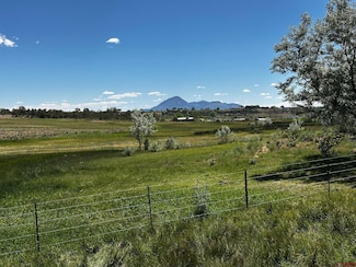TBD V 3, Lewis, CO 81321