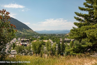 1090 Bluffs Dr, Jackson, WY 83001