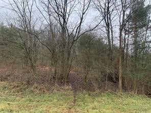 Lot 6 Ringertown Rd, Murrysville, PA 15632