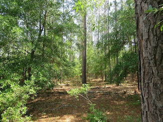 NW Hawks Ave, Greenville, FL 32331