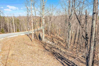 37 Eagle Point Dr, Cherokee, AL 35616