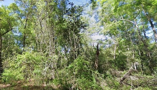 TBD SE 926th St, Old Town, FL 32680