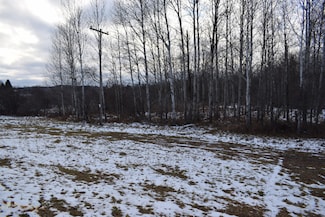 8373 Lyman Rd, Kaleva, MI 49645