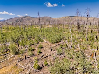 Lot 1596 Douglas Ln, Ft. Garland, CO 81133