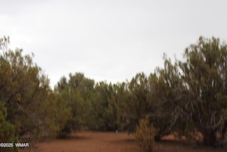 Sec 8 T11n R22e: Unit Port Of Parcel 3 Sur, White Mountain Lake, AZ 85912