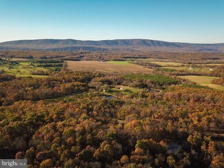 Lot 4 Reynolds Rd, Gainesboro, VA 22625