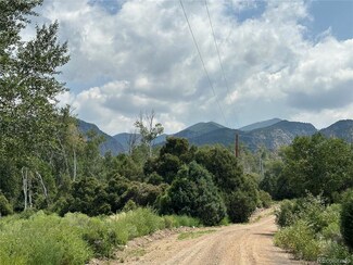 0 231 & 233 Mill Run Rd Unit 7773263, Mosca, CO 81146