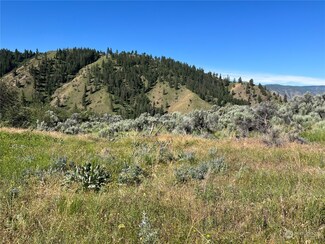54 Tyee View Loop, Orondo, WA 98843
