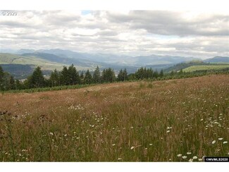 0 N McCully Mountain Mp Unit 1, Lyons, OR 97358