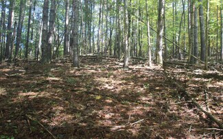 Cutcane Cutcane Road 4 9 Ac, Mineral Bluff, GA 30559