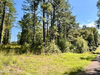 0 Young Ln, Crystal Springs, MS 39059