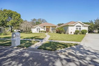 13750 Dowling Ln, Odessa, FL 33556