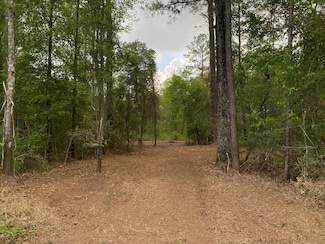 1.29 Acres Beaver Damn Rd, Lucedale, MS 39452