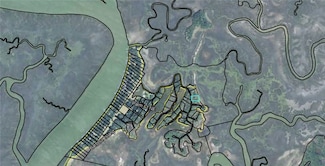 LOT 83 Barbour Island, Townsend, GA 31331