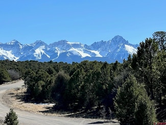 1345 Ponderosa Dr, Ridgway, CO 81432