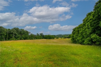 VL County Road 14, Ionia, NY 14475