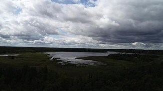 TBD Minnesota 113, Oakland Township, MN 56589