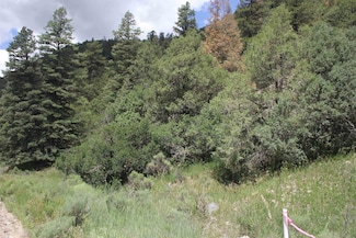 5 acres Cabresto Canyon Rd, Questa, NM 87556