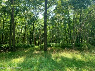 259 Sky View Te Terrace, Effort, PA 18330