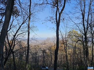 TBD Lot 17 Spring Branch Ln Unit 17, Free Union, VA 22940