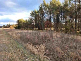 8.9 Acres 27th St, Necedah, WI 54646