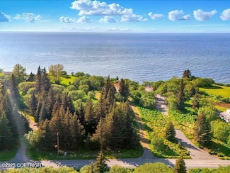 32775 Shorebird Ln, Anchor Point, AK 99556