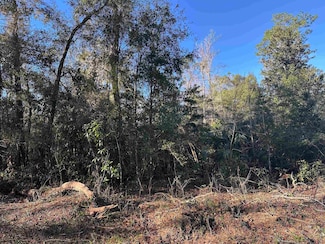 Lot 58 Iroquois Rd, Crawfordville, FL 32327