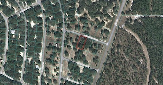 00 Fisher Terrace Trace, Ocklawaha, FL 32179