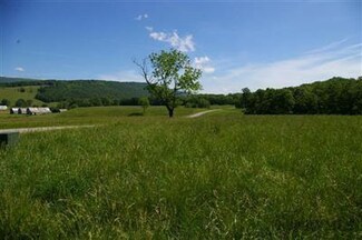 02 Black Diamond & Stonefly Dr, New Castle, VA 24127