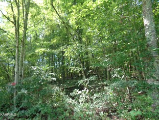 0 Poor Valley Rd Rd Unit 1198725, Rutledge, TN 37861