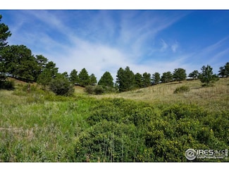 0 Stub Ct, Livermore, CO 80536