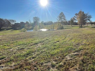 0 Poagville Rd, Coldwater, MS 38618
