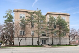 1135 Schneider Ave Unit 2A, Oak Park, IL 60302
