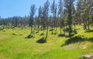 U S 85, Newcastle, WY 82701