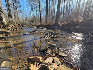 0 Highgrove Dr Unit 10449357, Ellijay, GA 30175