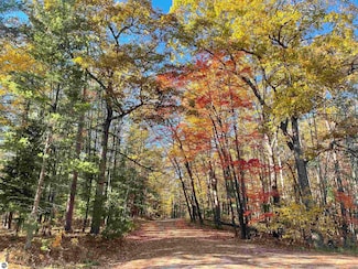 3037 Dockery Rd E, Williamsburg, MI 49690