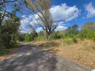 3 +/- Highway 431 Unit 2, Roanoke, AL 36274