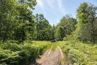 0 V L 13 Mile Rd, Bitely, MI 49309