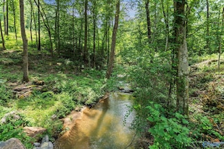 Lot 6 Wyeth Dr, Guntersville, AL 35976