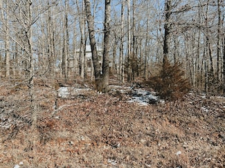 000 Lot 4 Block 13 Morrison Sub, West Plains, MO 65775