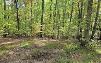 31-B Mountain View Ln, Hayesville, NC 28904