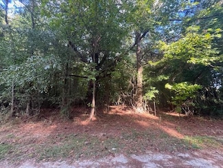 tbd Comstock Ln, Manning, SC 29102
