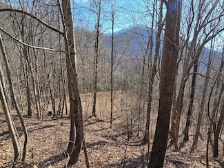 Lot 11 High Meadows Dr, Hayesville, NC 28904